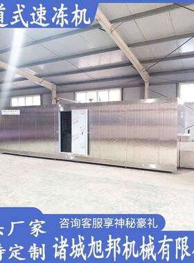 大型隧道式网带速冻机海鲜连续式速冻生产线工业机食品冷冻设备