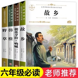 配套考点故乡 鲁迅原著正版野草 彷徨全套4册六年级必读课外书鲁迅的书6年级课外阅读书籍老师散文作品集书籍经典全集读本