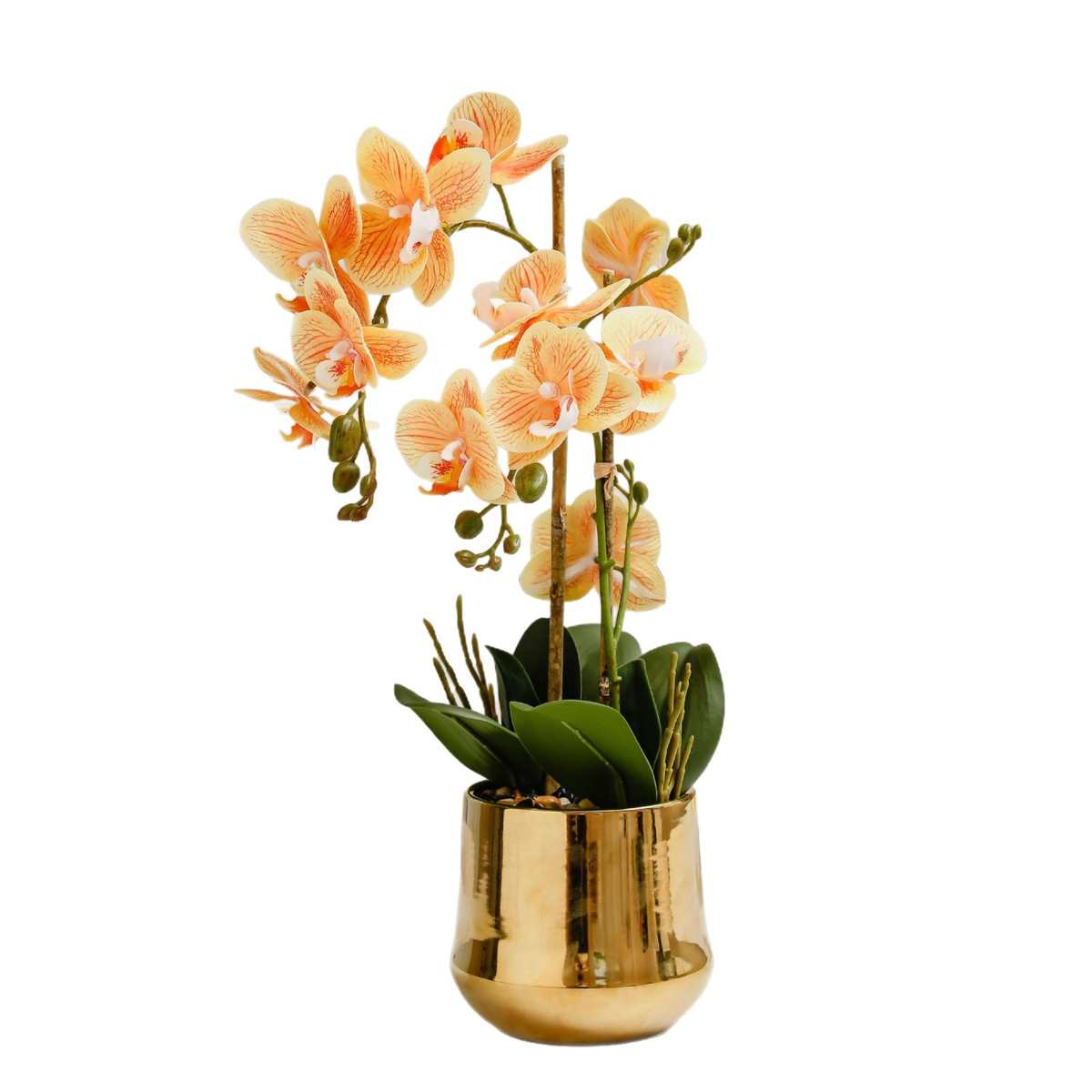 花仿真盆栽假花盆陶瓷懒人花头盆带单兰花盆苞花头朵蝴蝶兰带桌面