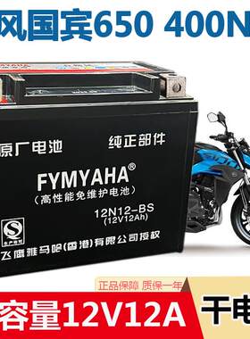摩托车电瓶春风国宾650狒狒NK250捷马250/400NK/ZRX400免维护电池