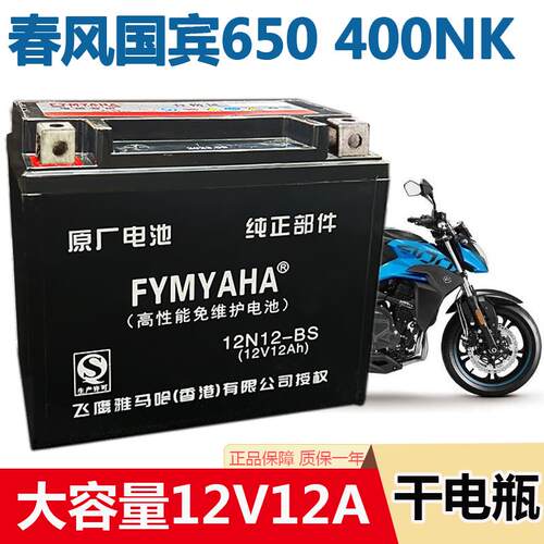 摩托车电瓶春风国宾650狒狒NK250捷马250/400NK/ZRX400免维护电池