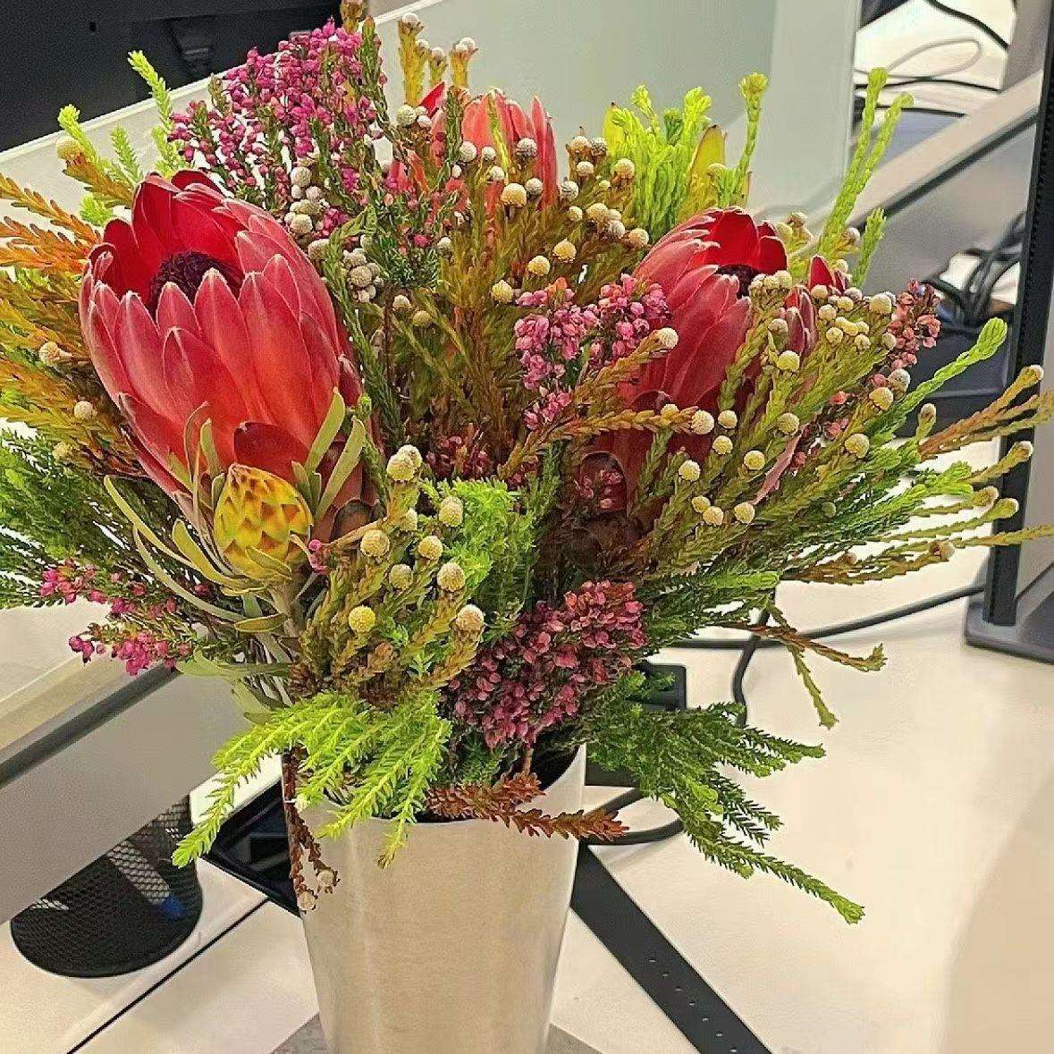 南非果子花束混搭珊瑚果三公主花束可做干花超长花期