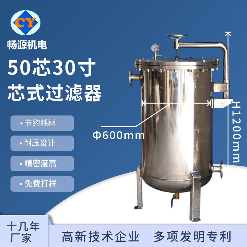 厂家非标定50芯30寸保安过滤器高压不锈钢水过滤器