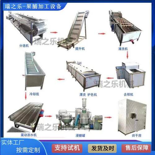 商用酸枣去核机全套橄榄果干加工设备全自动漂烫机果脯设备食品级