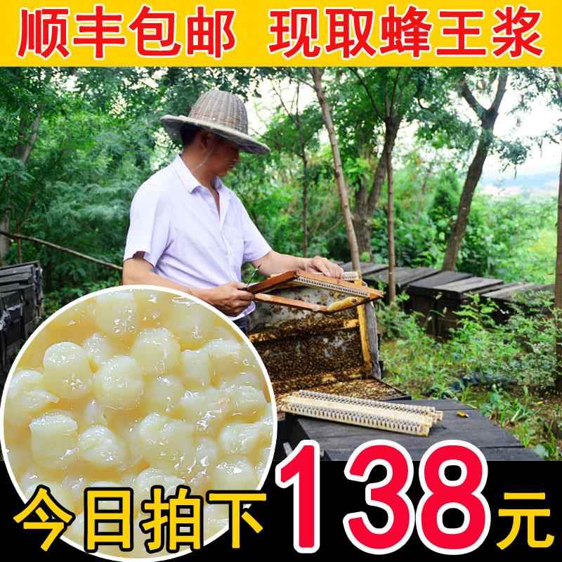 25年春浆新鲜蜂王乳原浆初蜂乳油菜野生天然农家自产纯正品蜂皇浆