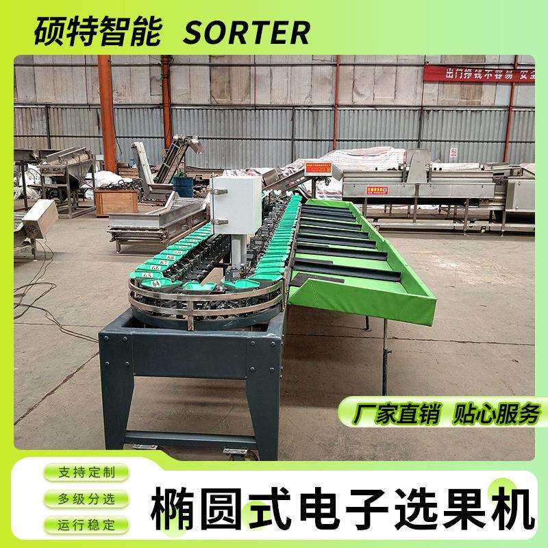 红美人柑橘水果分选机火龙果重量选果机七彩梨称重无损分拣机