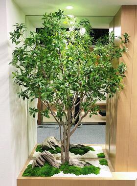 模拟马醉树榕树植物盆景商场客厅装饰假树挂钟大型绿色植物榕树叶