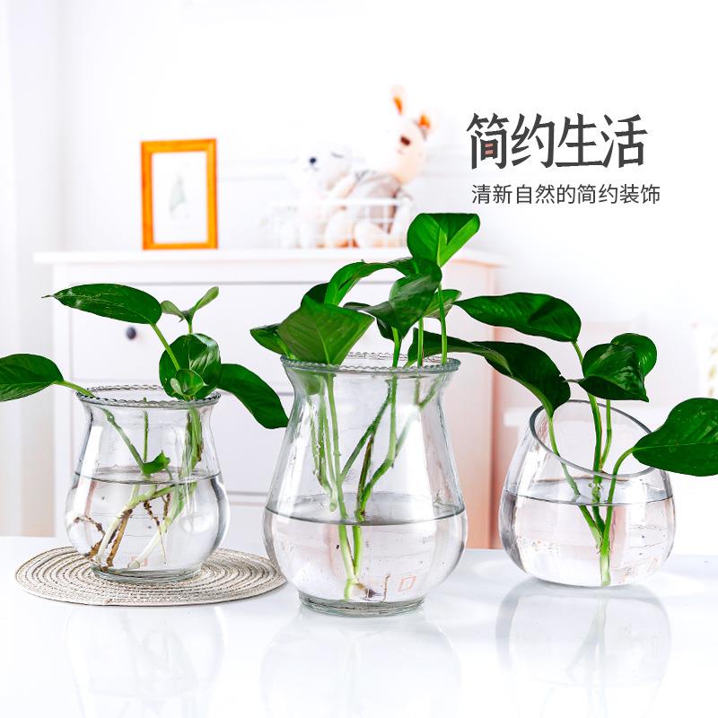 厂家水培花瓶桌面装饰摆件绿萝富贵竹水培容器简约玻璃小花瓶