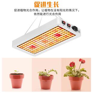 源头工厂照明ed植物灯生长全光谱育白色l种植灯CQV室内苗水草补光