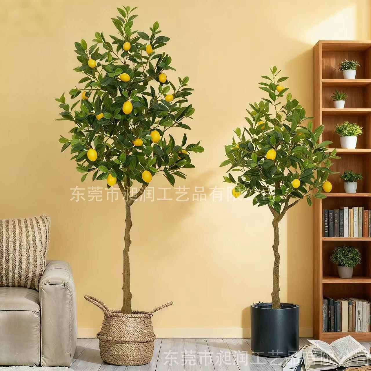 柠檬树家居客厅拍摄道具盆栽绿植盆景装饰摆件假植物真仿真花