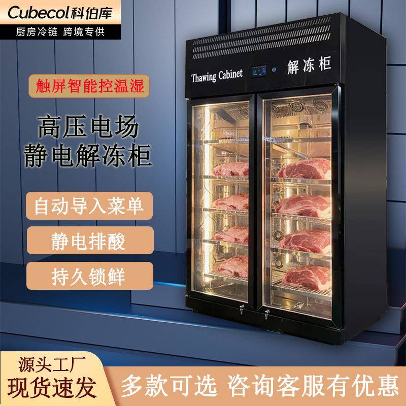 商用高压静电解冻牛肉羊肉猪肉触屏控制低温高湿解冻冷藏保鲜柜