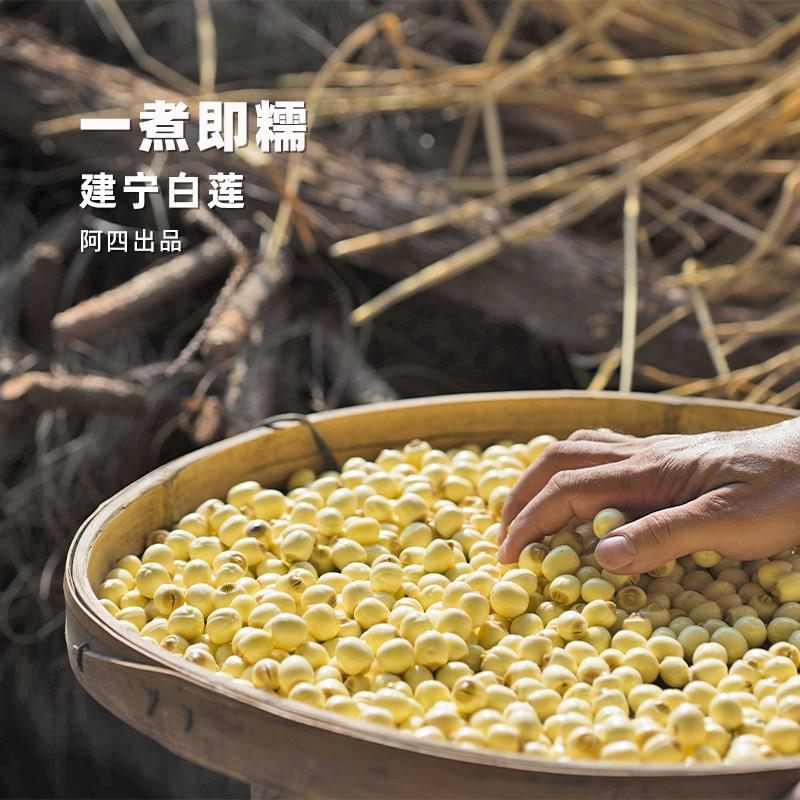 阿四出品 | 500克福建建宁建莲白莲子干货去芯拒绝硫薰