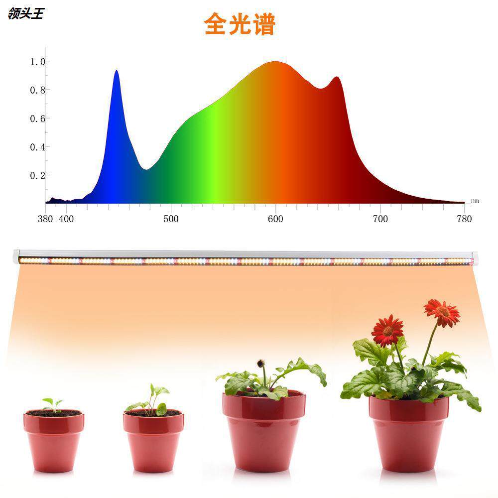 全光谱物LED月季草莓菜番茄多TAK肉花卉蔬光植生长补光灯仿太阳照