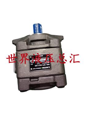 适用海特克CP1/0/2-40/32/125/63/20/16/13/80/100-P-10R液压齿轮
