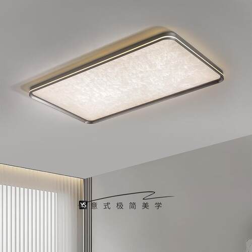 迪格雅意式简极客厅吸顶灯大谱气20护DGY-202424新款大厅主灯全光