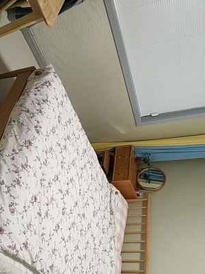 源氏木语和维莎原木哪家好?评测经验对比篇