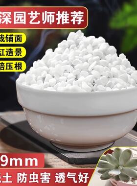 多肉铺面石新雨花石鹅卵石花盆栽五彩色石子鱼缸装饰白色小石头