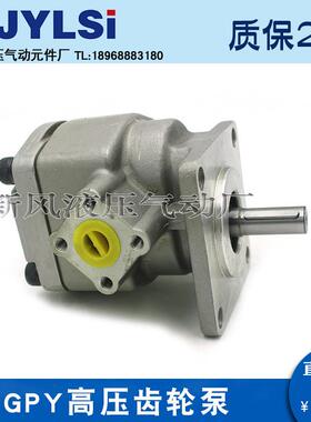 高压齿轮泵GPY-2R/3R/4R/5.8R/7R/8R/9R/10R/11.5R/12R GPY-6RX4B