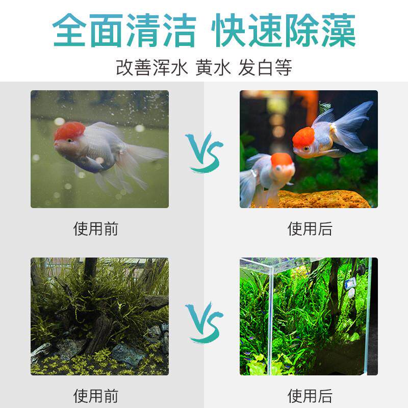 鱼缸刷磁力刷带刮刀玻璃擦双面清洗刷子擦缸器清理清洁工具刮藻刀,宠物/宠物食品及用品,鱼缸清洁用具,淘宝优惠券,粉丝福利购,淘宝优惠卷