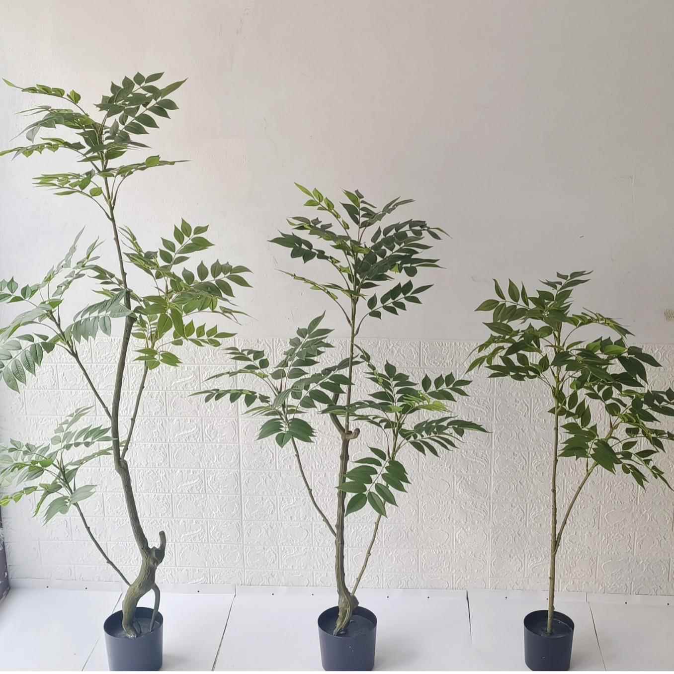 仿家真绿植落漆QS-7002厅木树盆栽室内客地植物香椿树居装饰摆件