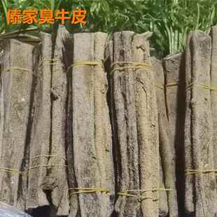 新品包邮云南西双版纳特产傣家油呛臭牛皮傣味饭厅原材料