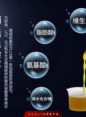 RedSea红海能量珊瑚能量剂PLUS液体珊瑚粮lps软体sps硬骨饲料AB+