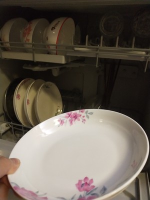 松下H1D洗碗机真实感受揭秘，多少人不看这里被忽悠