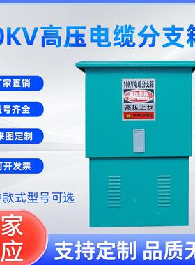 10kv高压电缆分支箱35kv欧式分接箱一进二三四五出高压铜排T接箱