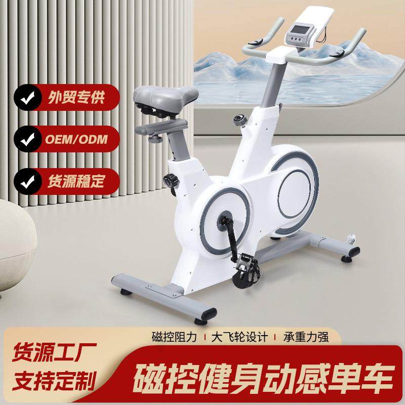 磁控户外室内锻炼动感单车静音运动自行车减肥健身器材骑行
