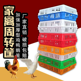鸽子笼箱鸡周转鸡笼周转筐鸡鸭特大加厚家禽运输筐成家用筐塑料鹅