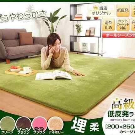 room coral carpet thicken living room tea table rug bedroo