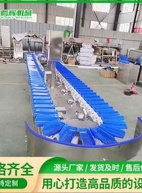 鲳鱼分选机自动分级机鱼类挑选线黄花鱿鱼分选机