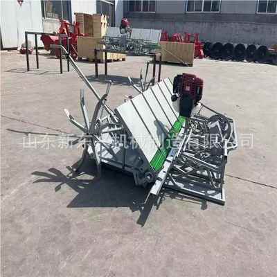 出汽口水稻种植机补单行多行水稻插秧机油手水推稻插YGG秧苗机