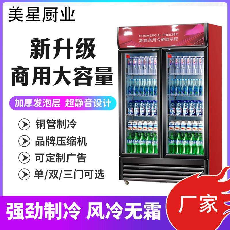 啤酒柜展示柜商用冷饮柜超市酒吧保鲜柜饮料冰柜冷藏单双门展示柜