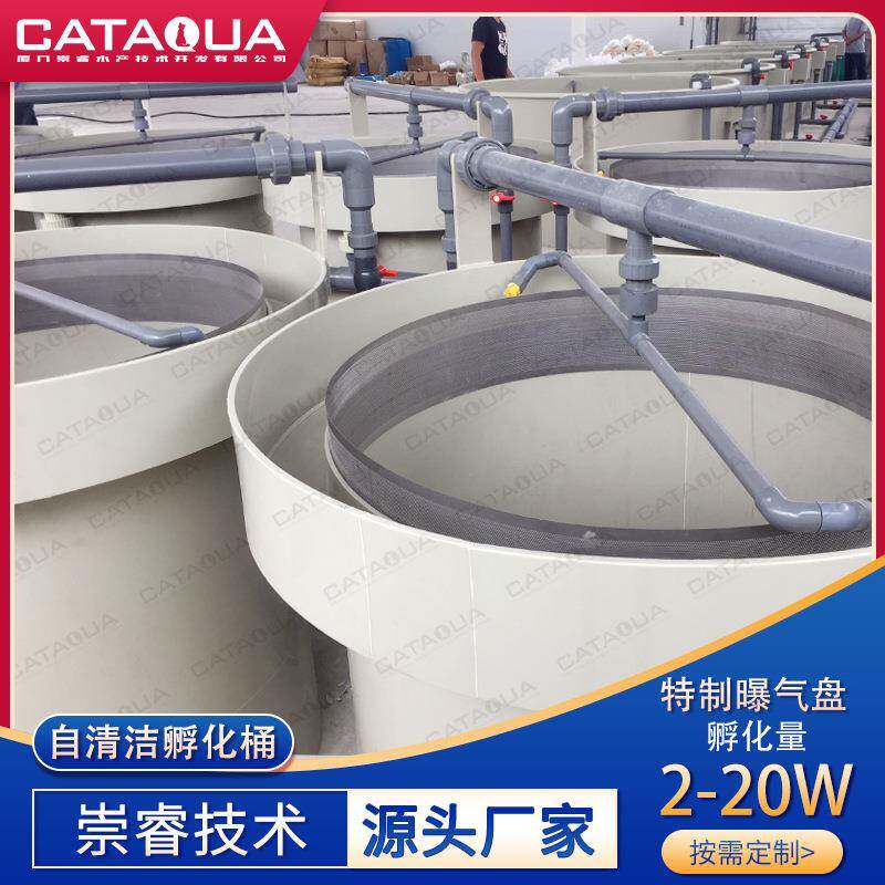 工厂化循环水养殖系统孵化设备自清洁鱼苗孵化鱼卵孵化桶
