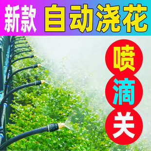 可弯曲定型自动浇花器微雾化灌溉洒水套装 万向喷头喷滴关多功能款