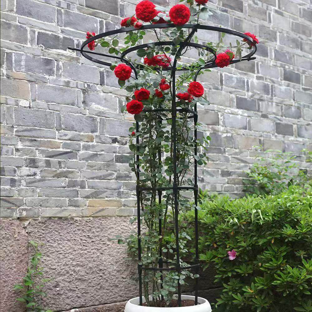 花架爬藤架月季花盆支撑支架柱形架子蓝雪花蟹爪兰藤架固定攀爬杆