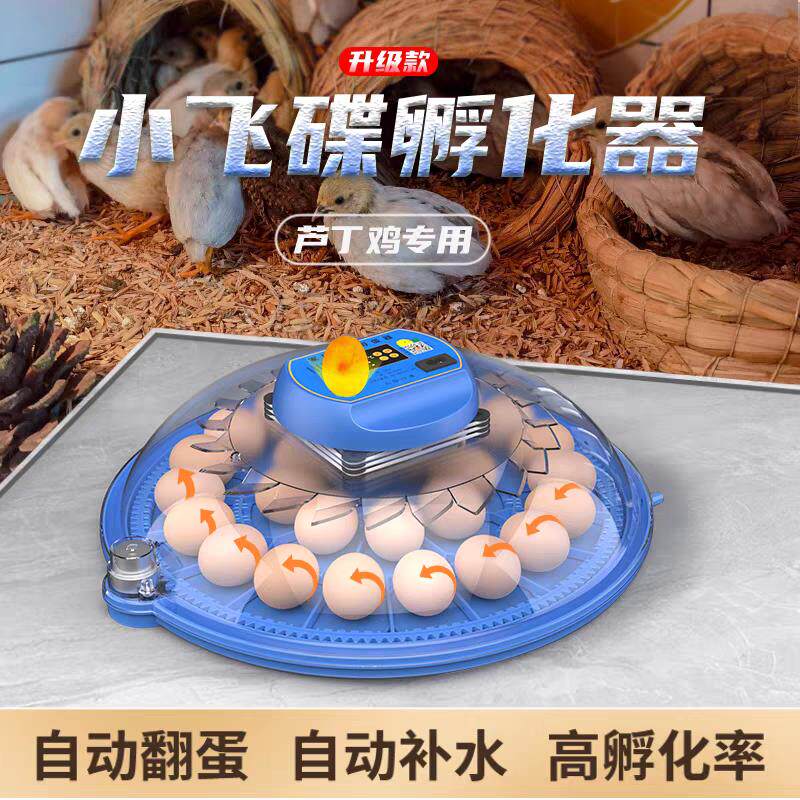 小飞碟孵化器小型家用迷你孵化机智能全自动恒温芦丁鸡孵蛋箱