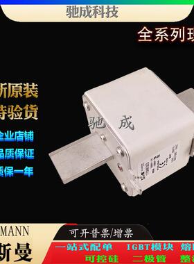 巴斯曼170M6308 170M6309 170M6310 长期销售价优 方体熔断器