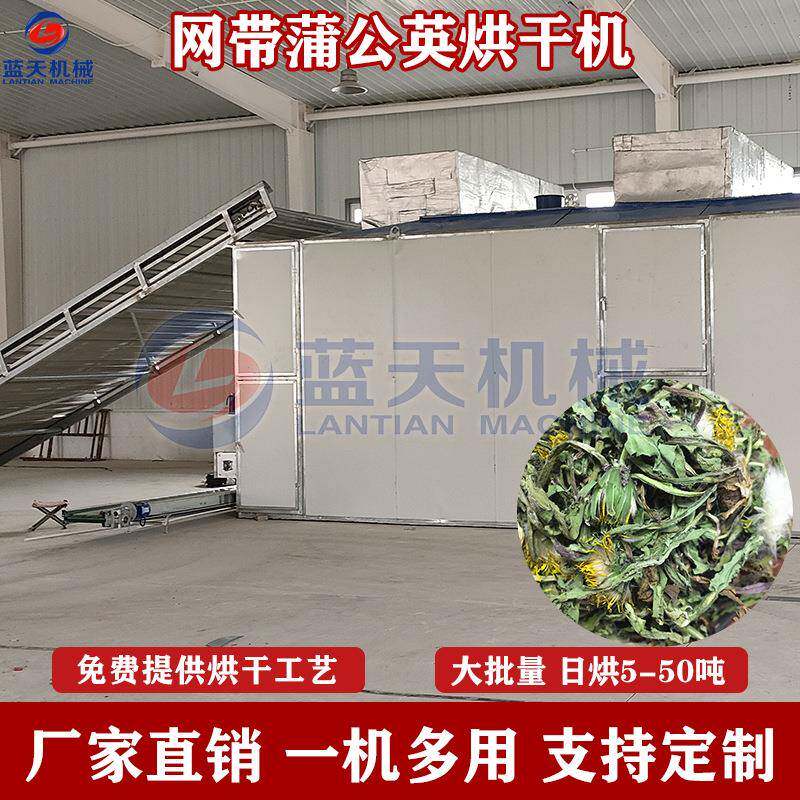 网带蒲公英烘干机大型婆婆丁黄花地丁哄干机中药材灯笼草干燥机