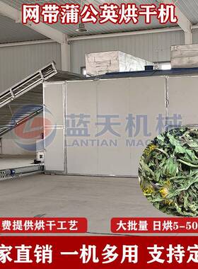 网带蒲公英烘干机大型婆婆丁黄花地丁哄干机中药材灯笼草干燥机