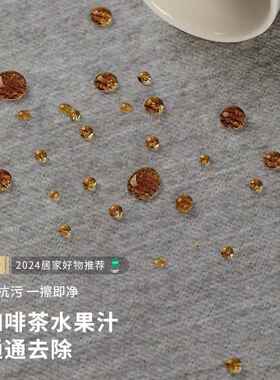 分销地毯客厅2024新款灰色免洗可擦轻奢高级感家用防水懒人沙发垫