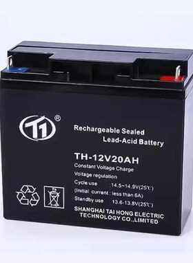 台洪蓄电池TH-12V17Ah24Ah38Ah40Ah65Ah100AH直流屏 EPS/UPS电源