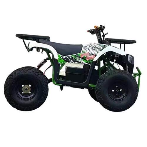 60V1000W电动沙滩 车全地形 ATV 雪橇车 摩托 卡丁车 雪地摩托车