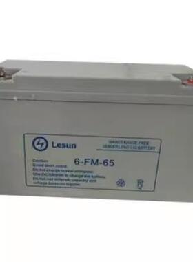 Lesun蓄电池6-FM-65/12V20A/24A/38A/40/100AH 机房电源UPS直流屏