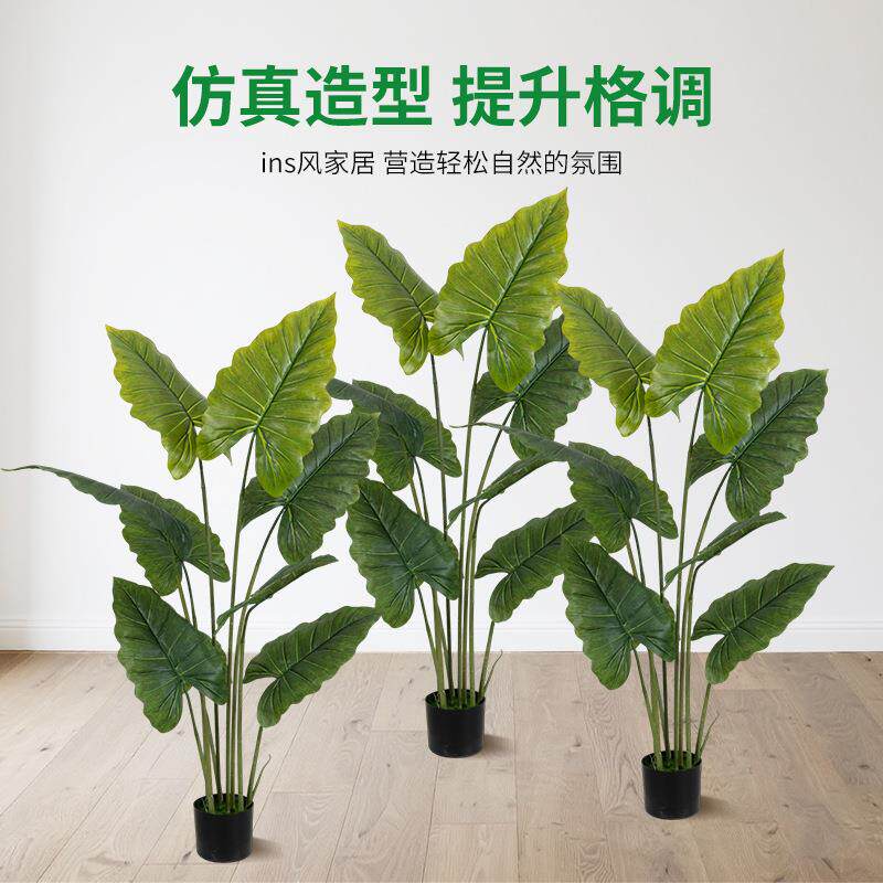 室内仿真植物绿公主摆件观叶假绿植北欧家居落地花艺橱窗摆件盆栽