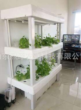 无土栽培植物工厂补光灯种植水培蔬菜立体种植机水种植蔬菜