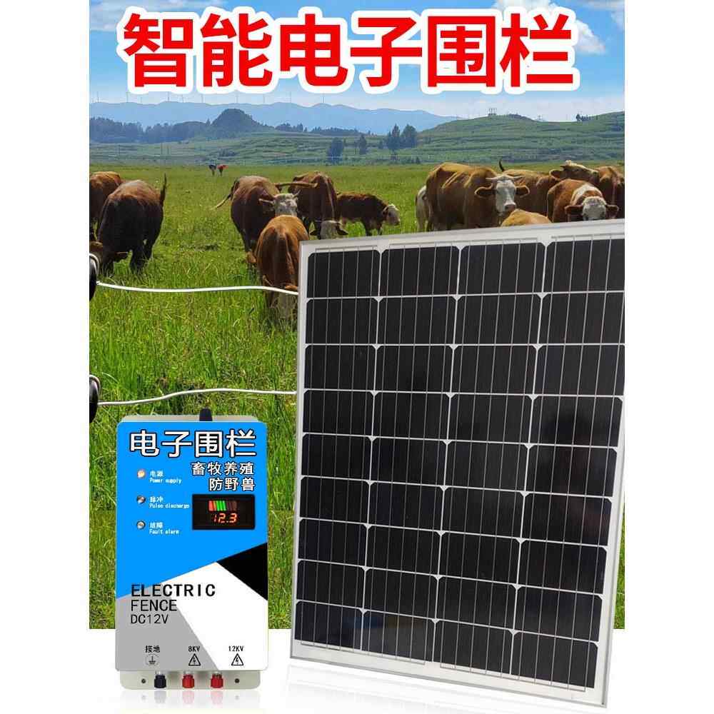 家畜数字围栏主机太阳能电动围栏牧场养殖猪、牛、羊、家畜网格带