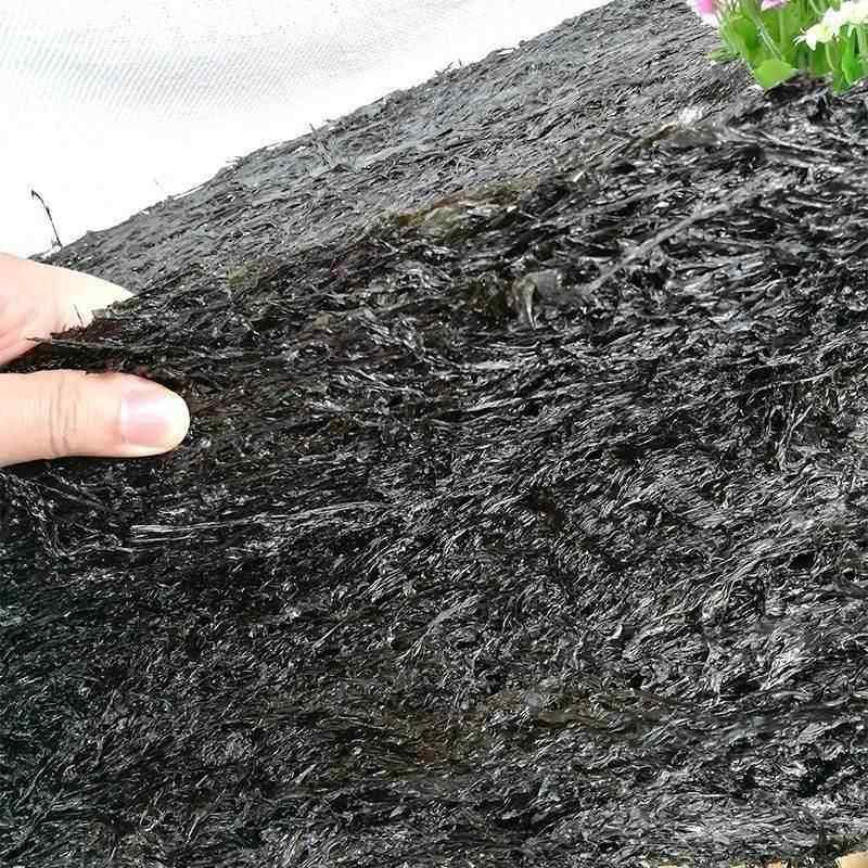 霞浦特级头水紫菜干货 散装100/250/500g克 无沙免洗野生片装紫菜