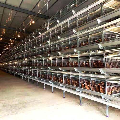 蛋鸡笼捡蛋机一体化养鸡设备10万只机械蛋鸡养殖厂家鸡用电动